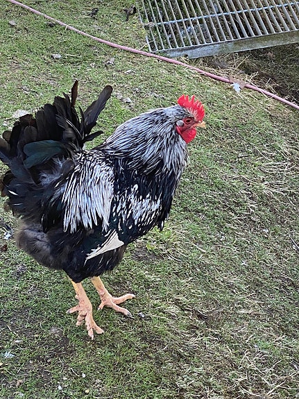 Product image 9 of 9