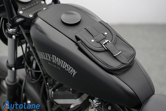 Harley-Davidson Iron 883 *Endast 1492Mil!, Cobra system 24 of 28
