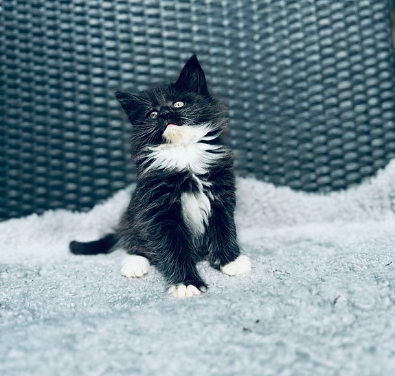 Product image 7 of 9