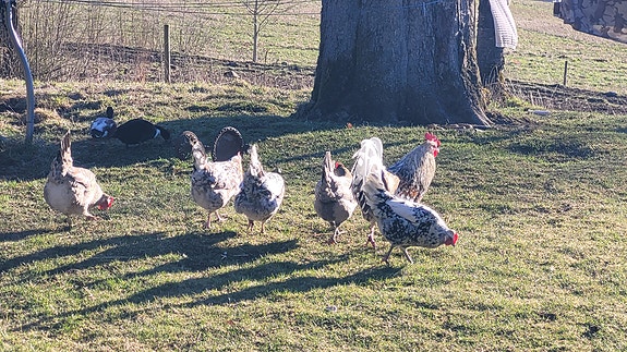 Product image 2 of 9