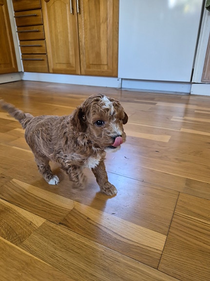 Product image 5 of 10