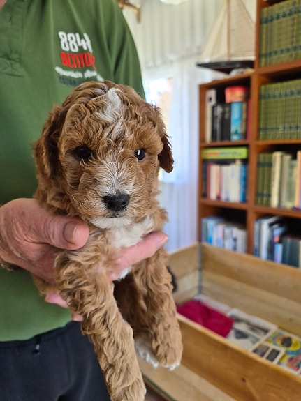 Product image 8 of 10