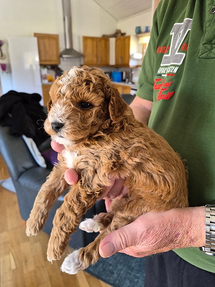 Product image 9 of 10