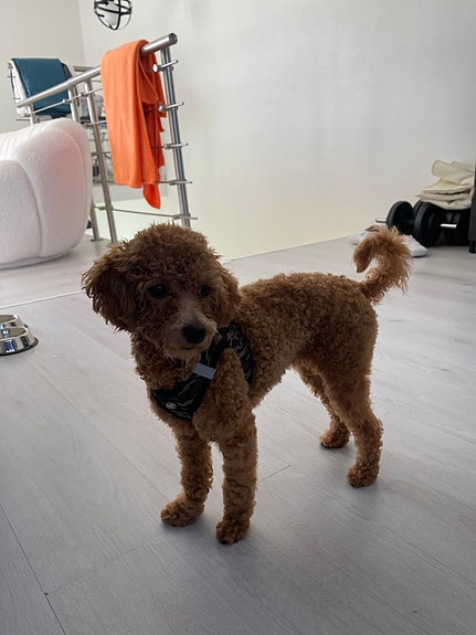 Product image 4 of 7