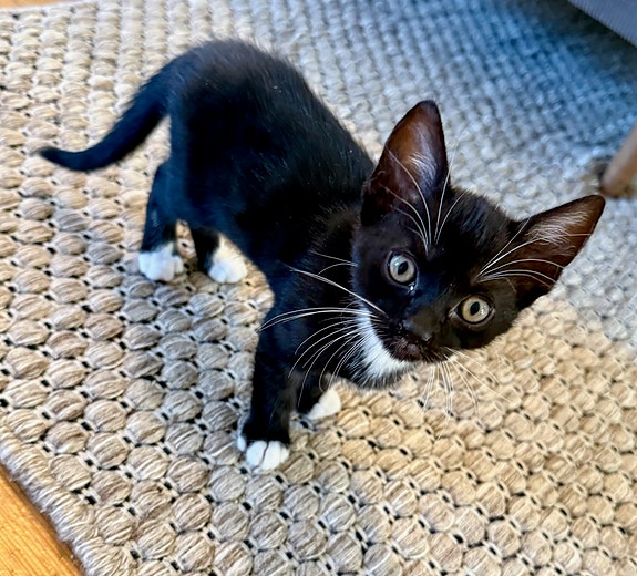 Product image 5 of 9