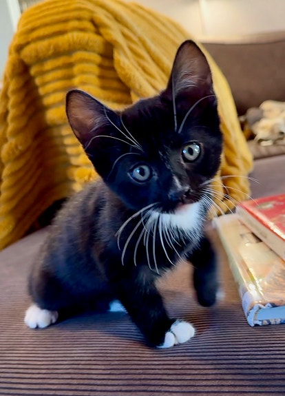 Product image 3 of 9