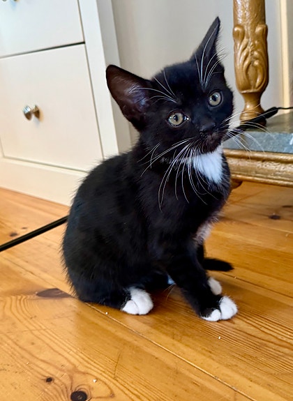 Product image 4 of 9