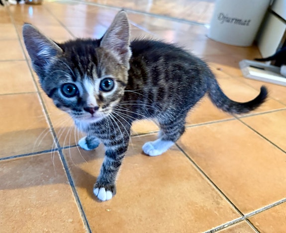 Product image 7 of 9