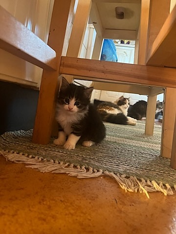 Product image 3 of 7