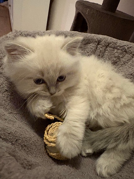 Product image 2 of 8