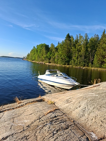 Bayliner 2052 LS Capri 7 of 8