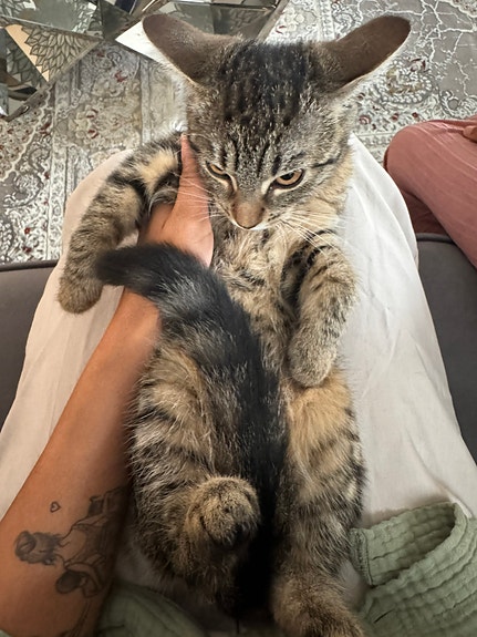 Product image 5 of 6