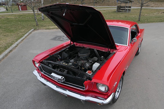 Ford Mustang 12 of 14