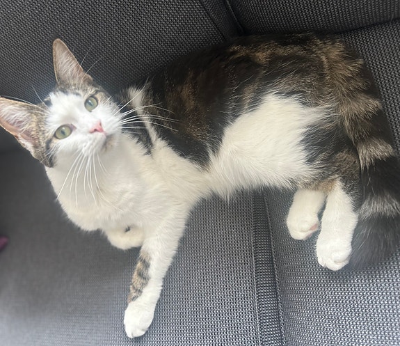 Product image 3 of 8