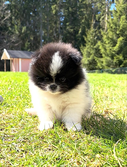 Product image 7 of 8