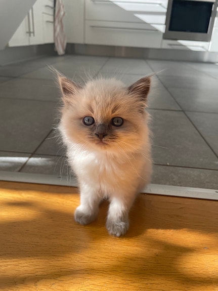 Product image 4 of 9