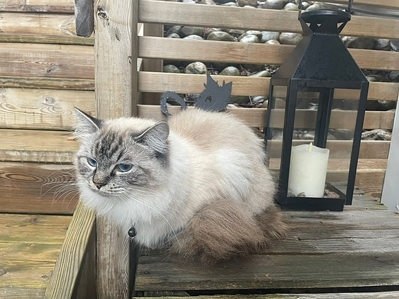 Product image 8 of 9