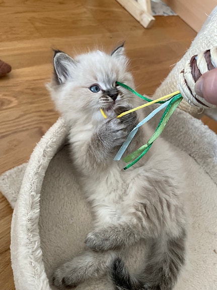 Product image 3 of 9