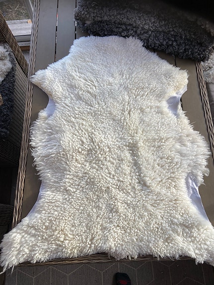 Product image 13 of 15