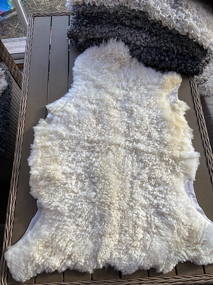 Product image 14 of 15