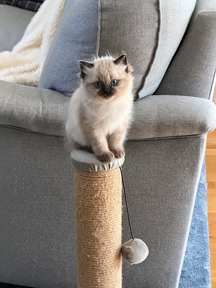 Product image 3 of 7