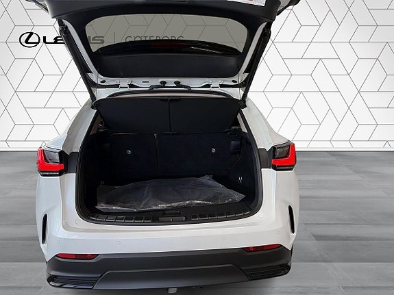 Lexus NX450h+ 7 of 15