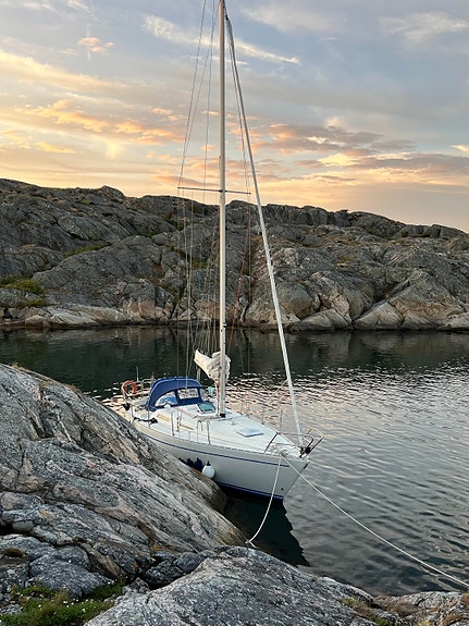 Trio 96 — View photo 1