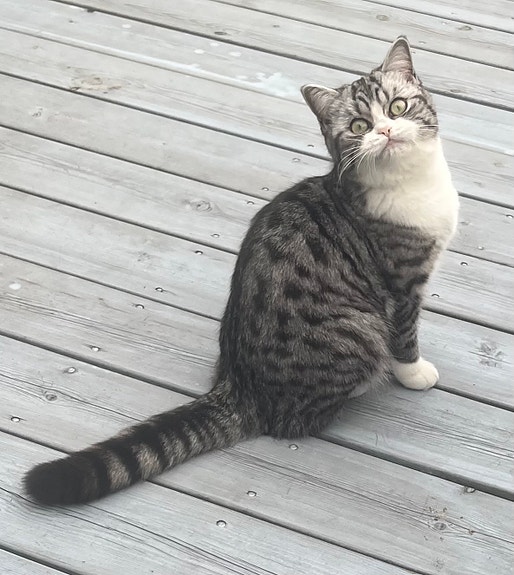 Product image 8 of 10