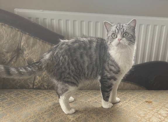 Product image 4 of 7