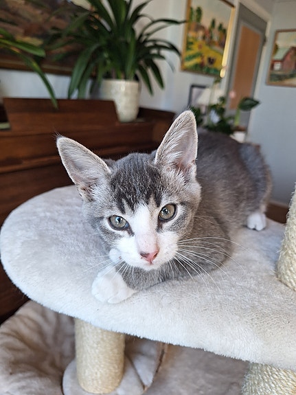 Product image 8 of 10