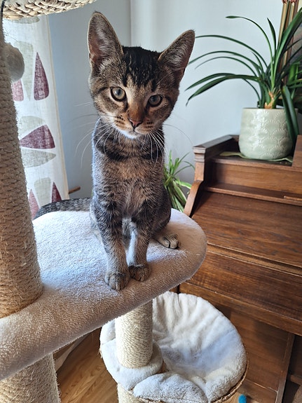 Product image 6 of 10