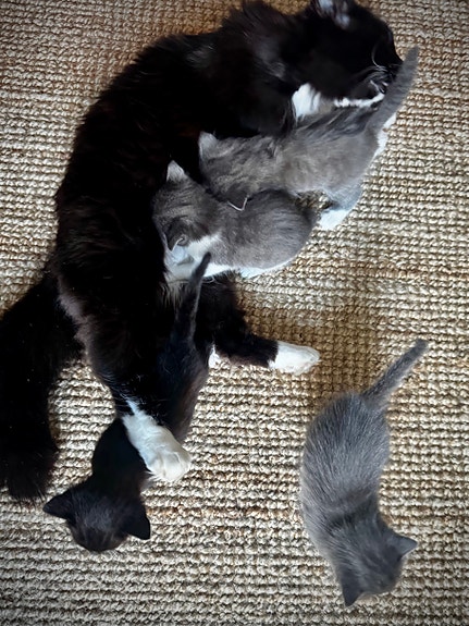 Product image 9 of 9