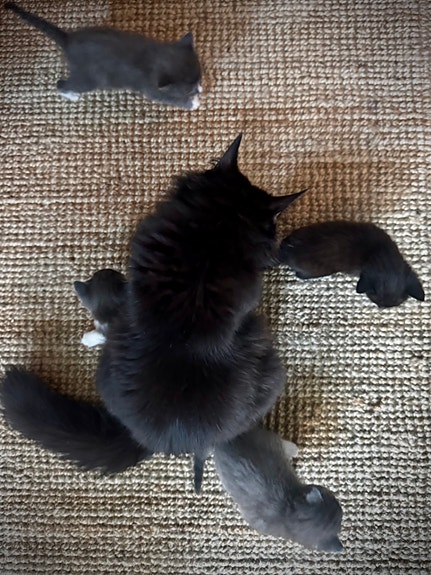 Product image 8 of 9