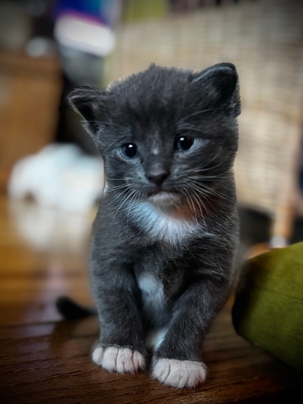 Product image 4 of 9