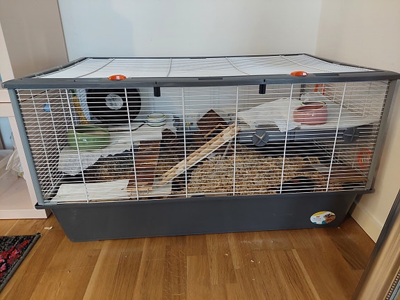 Product image 4 of 9