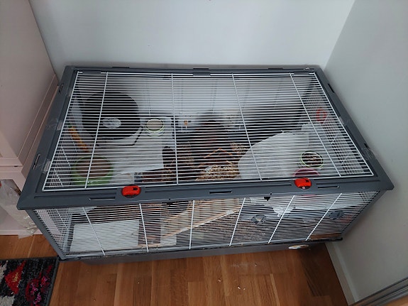 Product image 3 of 9