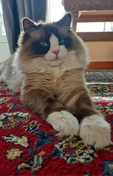 Product image 6 of 10