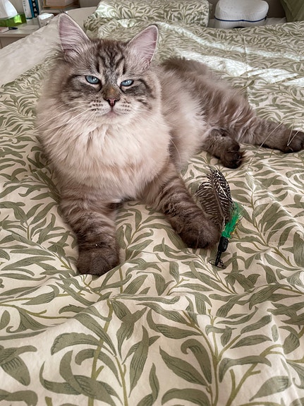 Product image 2 of 7