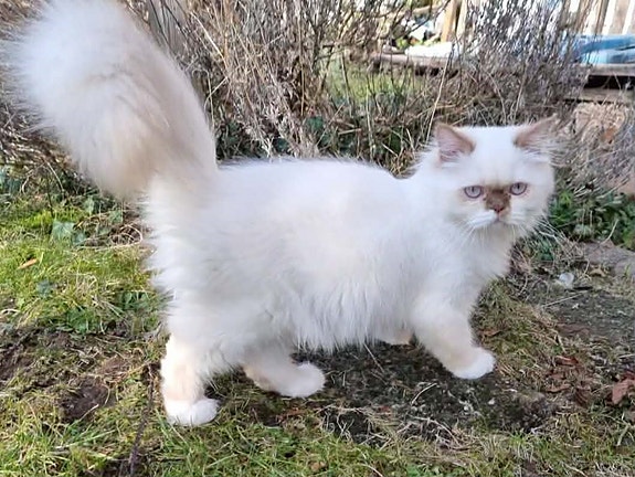 Product image 2 of 7