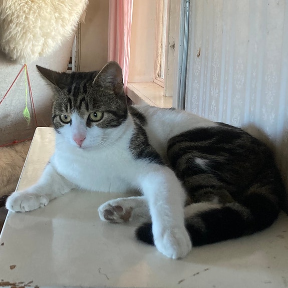 Product image 7 of 8