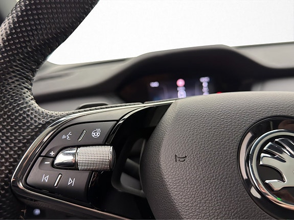 Skoda Enyaq Coupe RS 19 of 30