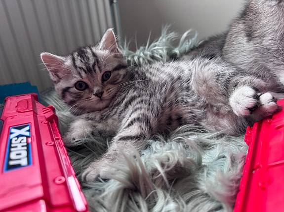 Product image 3 of 5