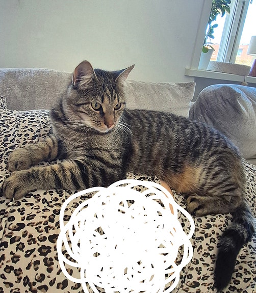 Product image 5 of 7