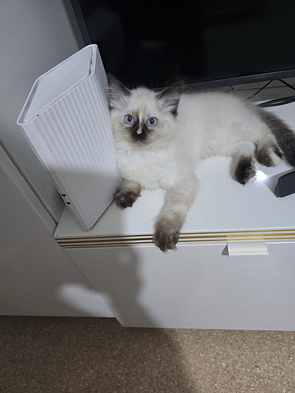 Product image 5 of 9