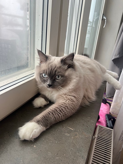 Product image 8 of 9