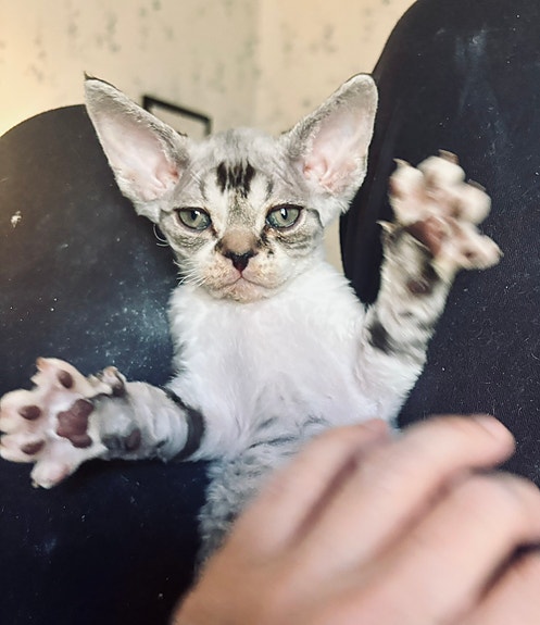 Product image 6 of 6