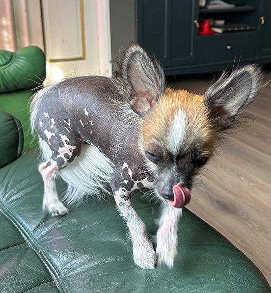 Product image 4 of 4