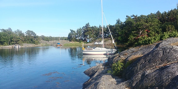 Aphrodite 25 — View photo 1