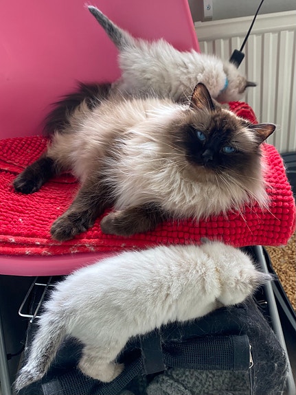 Product image 7 of 8