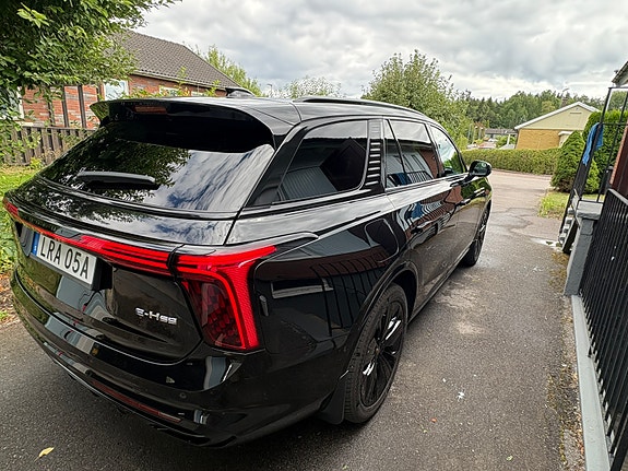 Hongqi E-HS9 25 of 30